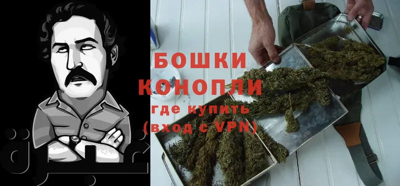 Конопля LSD WEED  Камызяк 